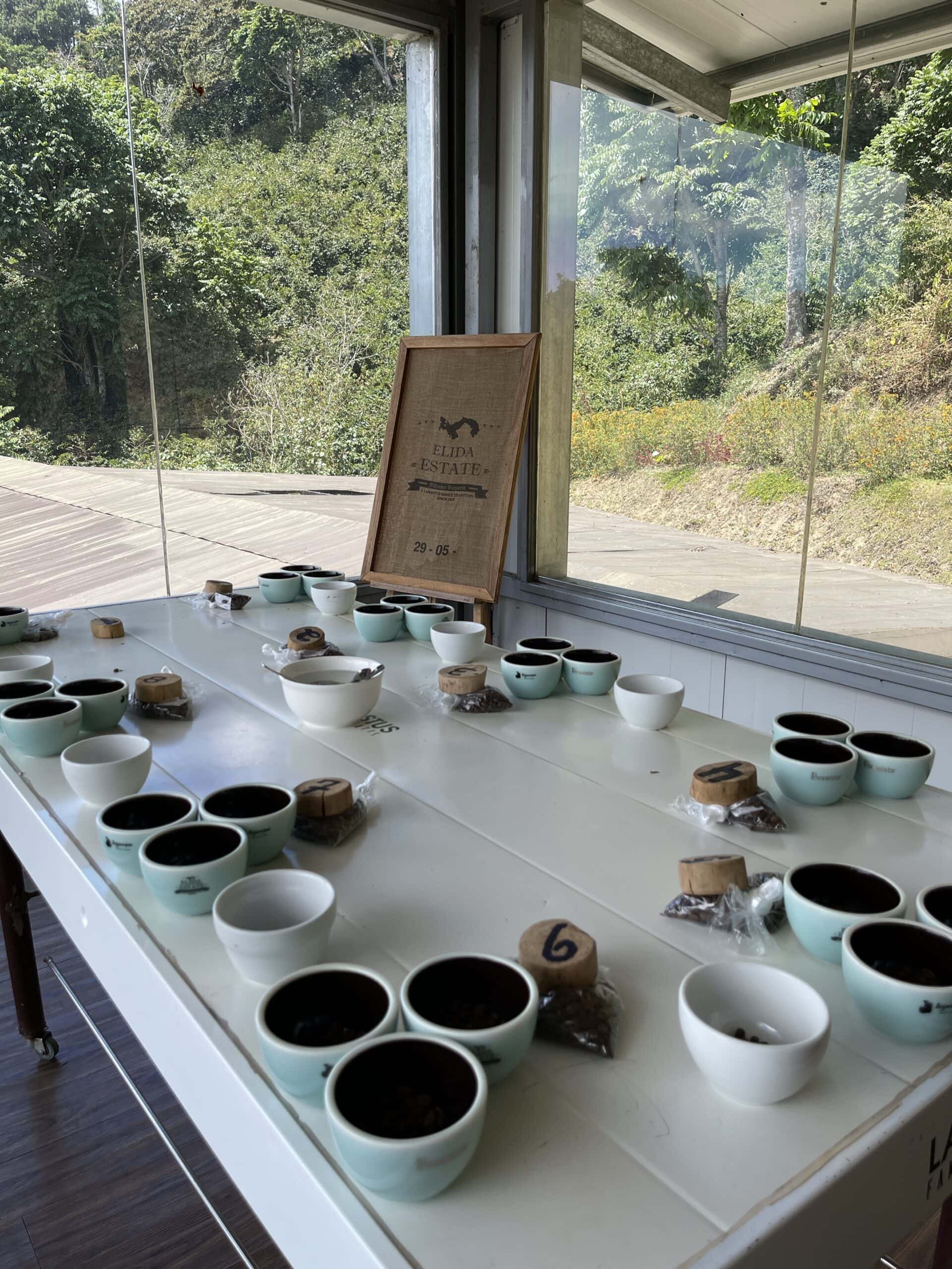 Coffee tasting session at Elida Estate with a table of cupping bowls in Panama