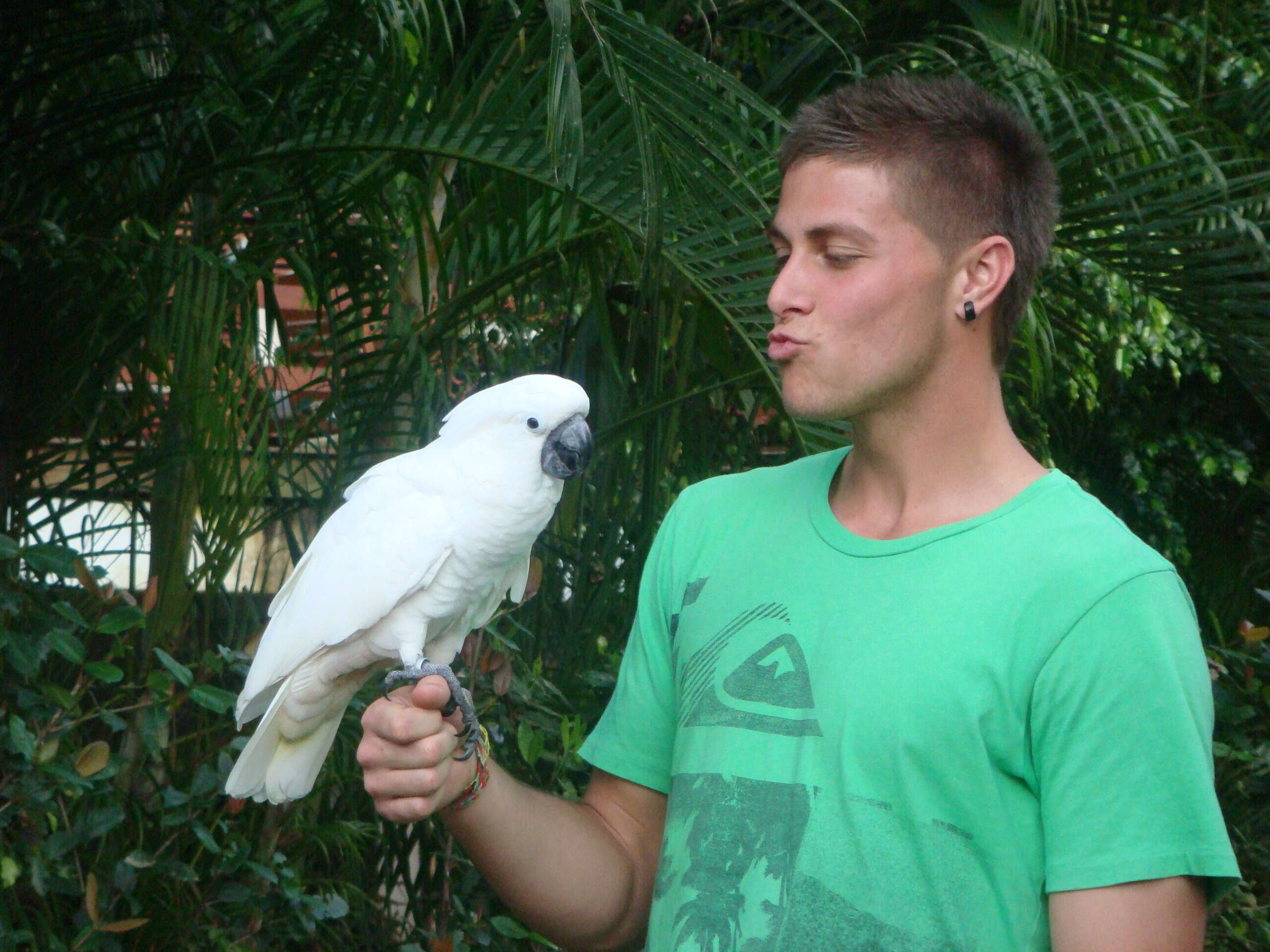 Visitor holding a white parrot in the Gamboa Rainforest of Panama, surrounded by lush jungle foliage and wildlife.