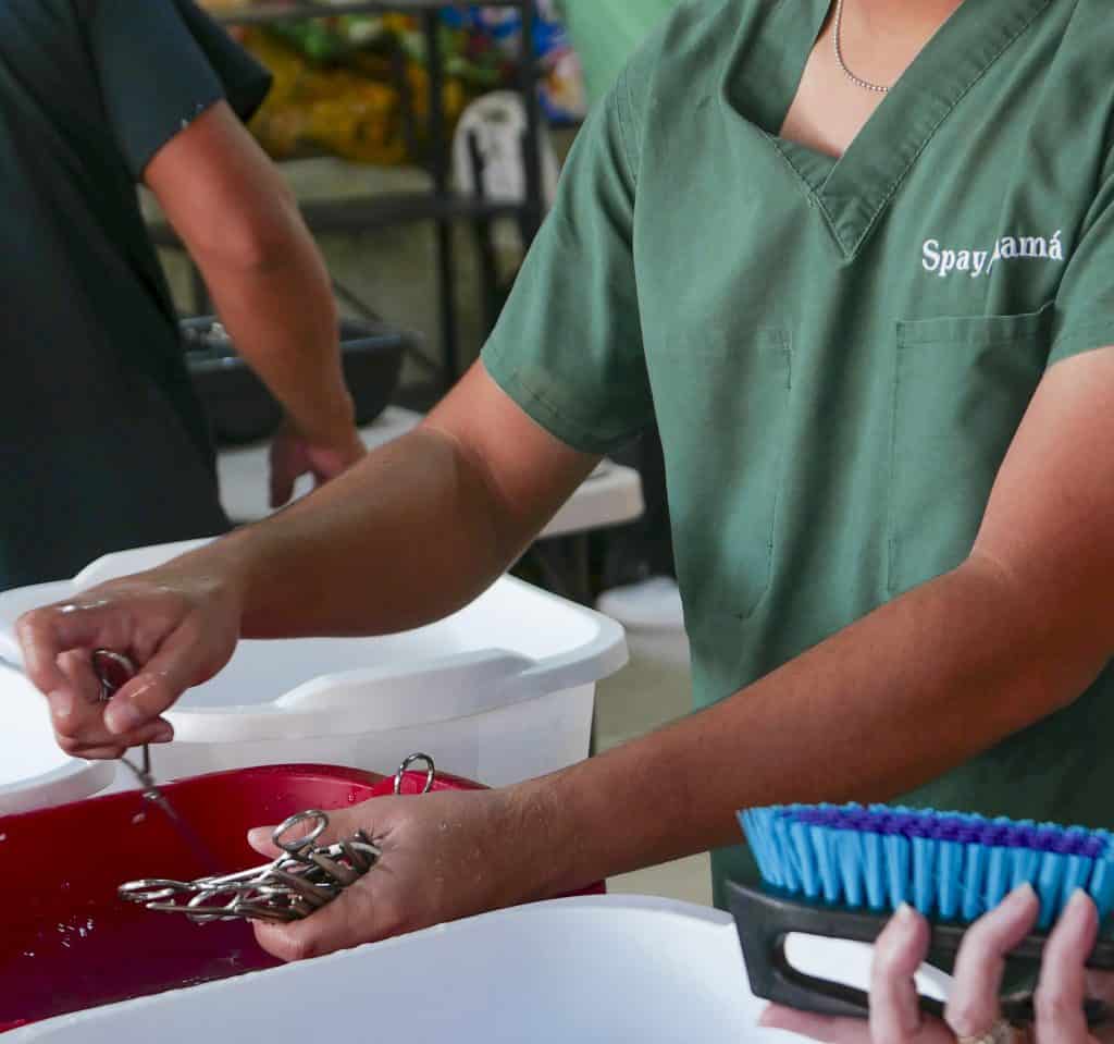 Veterinarian sterilizing surgical instruments during community clinic