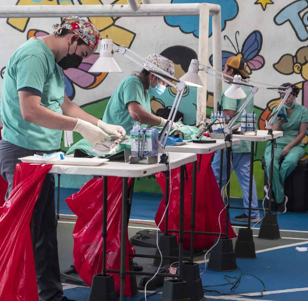 Veterinary surgeons performing operations during the Casco Viejo spay and neuter clinic in Panama, helping local cats and dogs