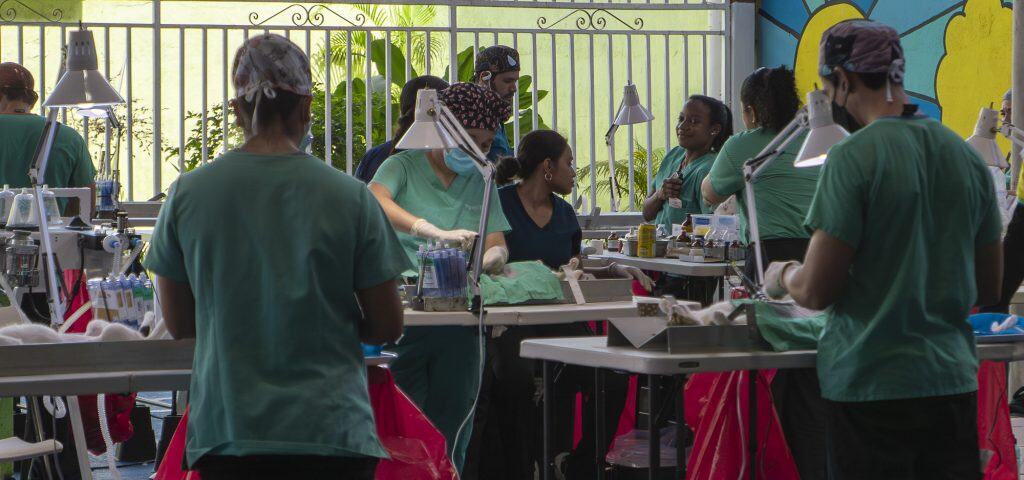 Casco Viejo Spay and Neuter clinic with vets and volunteers at work