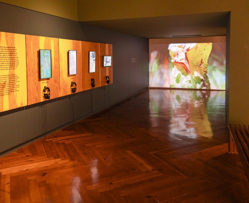 Immersive projection gallery at the renovated Panama Canal Museum in Casco Viejo, featuring digital exhibits and interactive sound stations.