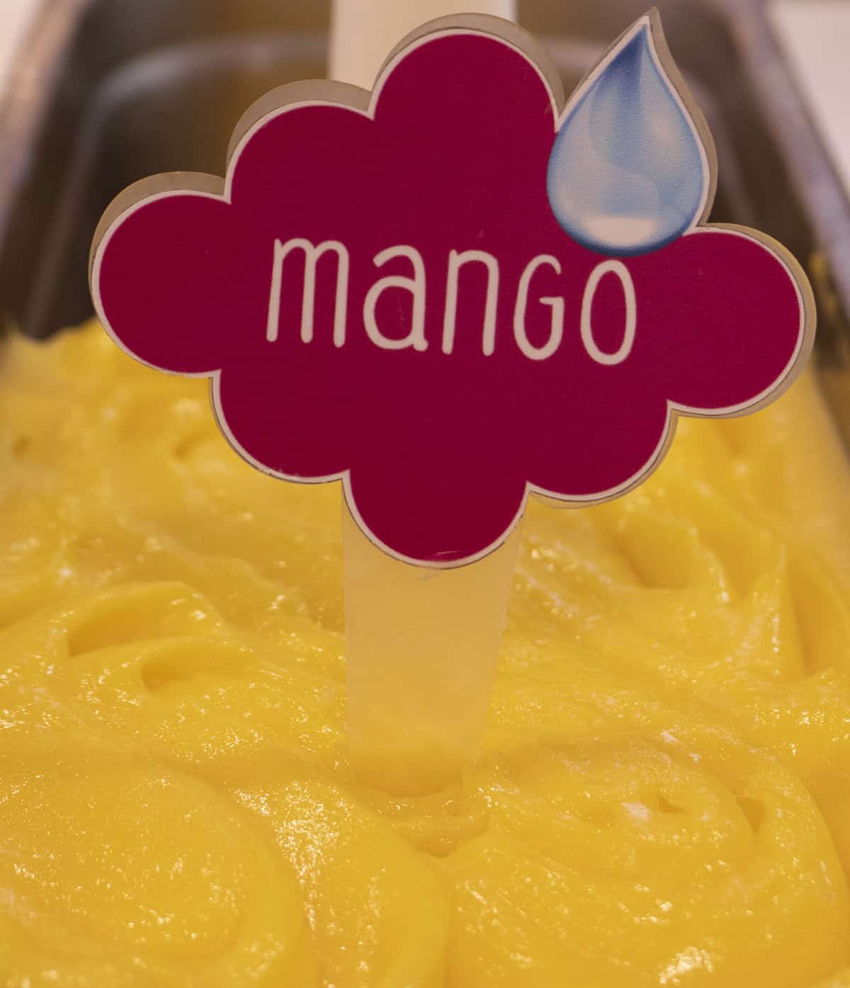 Mango sorbet at Benissimo Gelato Café in Casco Viejo Panama