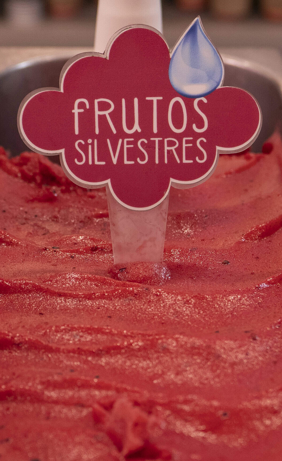 Frutos Silvestres wild berry sorbet at Benissimo Gelato Café in Casco Viejo Panama