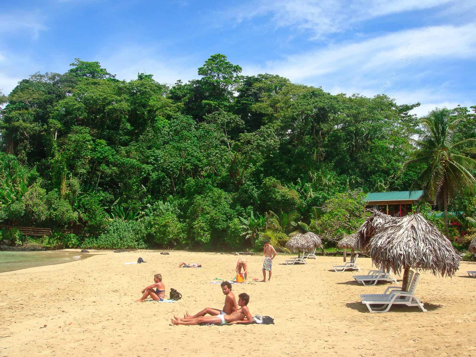 Sandy beach on Bastimentos Island near Bocas del Toro with palm trees, beach chairs, and visitors relaxing by the shoreline