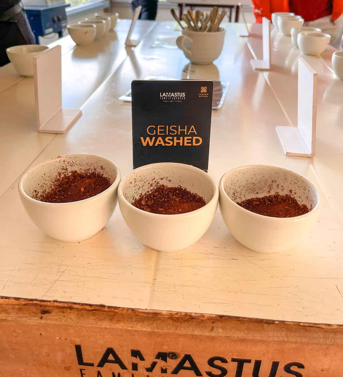Geisha coffee tasting at Elida Estate in Panama with ground coffee samples prepared for cupping on a tasting table