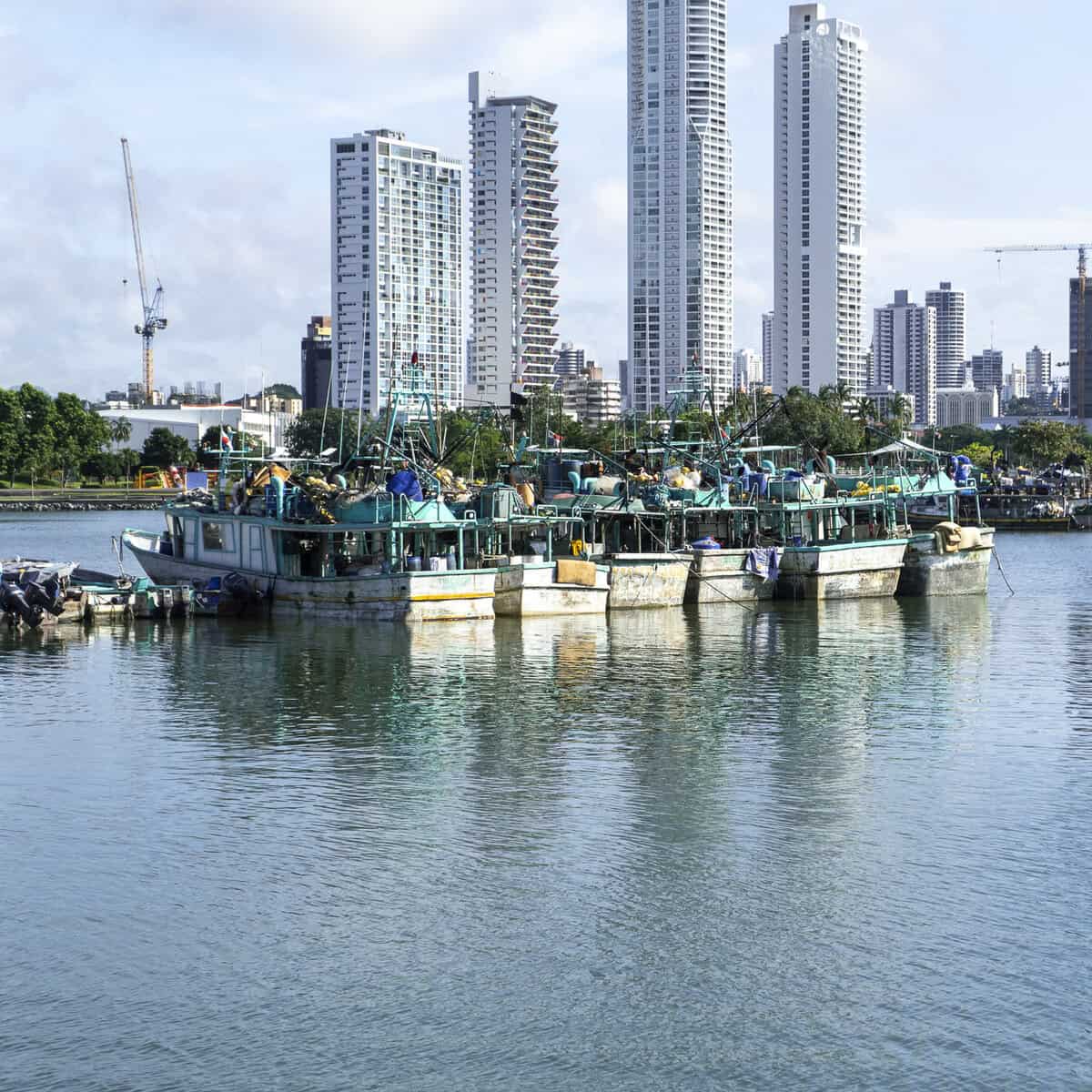 Fishing boats moored outside the Casco Viejo Fish Market at the entrance to San Felipe, marking the historic gateway between Panama Bay and the old city.