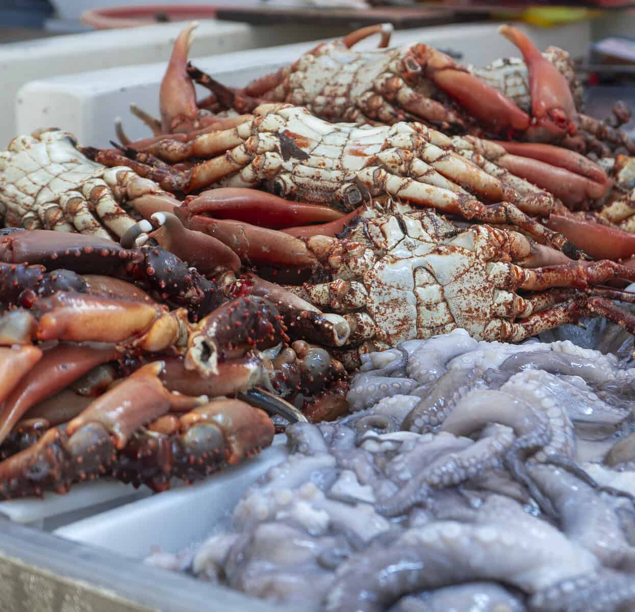 Shellfish displayed on ice at interior stalls inside the Casco Viejo Fish Market in Panama City.