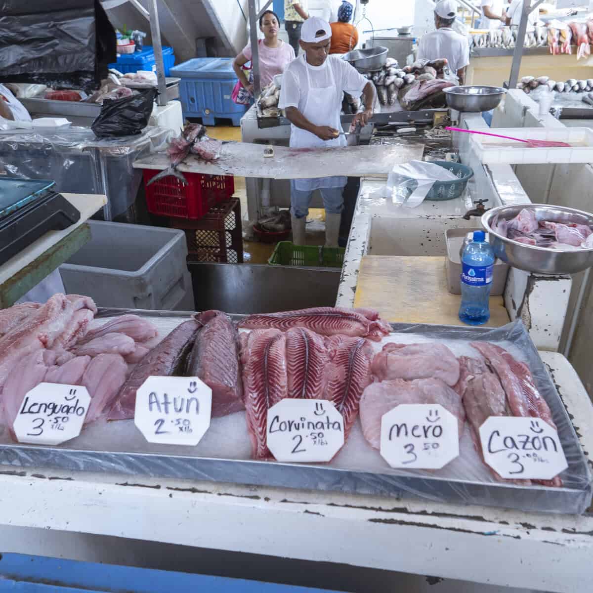 Fresh fish displayed with posted prices at an interior stall inside the Casco Viejo Fish Market in Panama City.