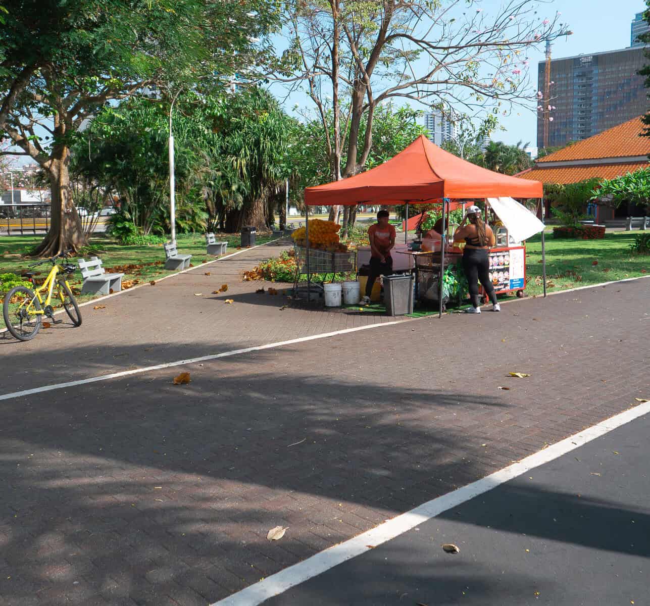 This view from Cinta Costera 2 near Casco Viejo shows Panama City’s modern skyline emerging above landscaped park space and palm trees. The combination of high-rise architecture and open public green areas reflects the urban design and livability of the waterfront promenade.