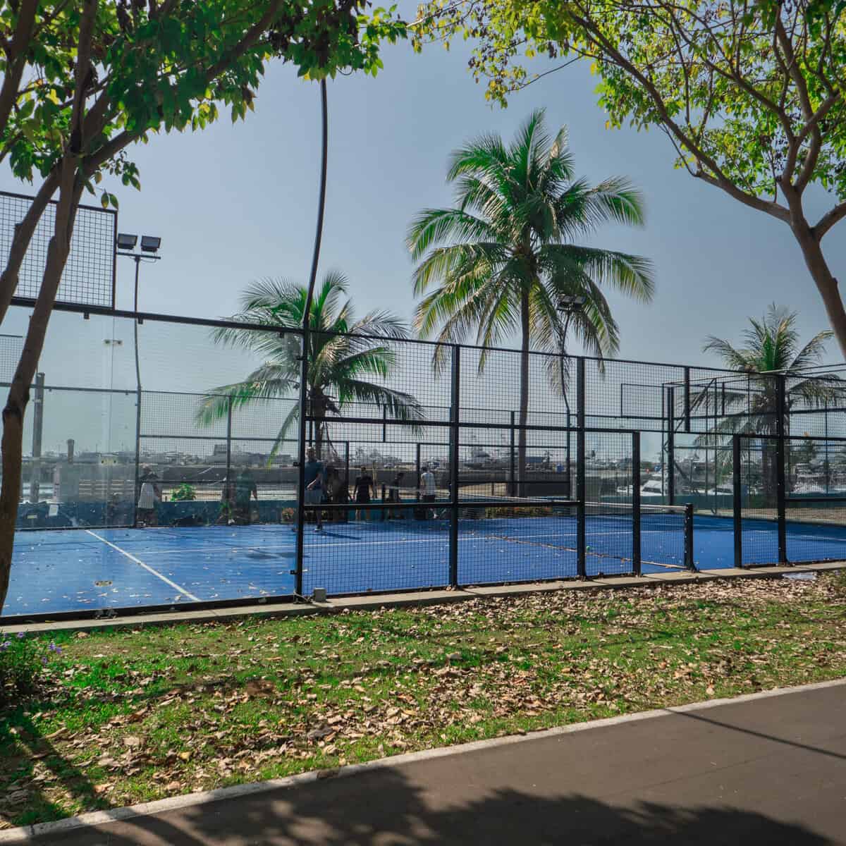 Outdoor padel court on Cinta Costera 2 in Panama City with palm trees and waterfront skyline in the background.