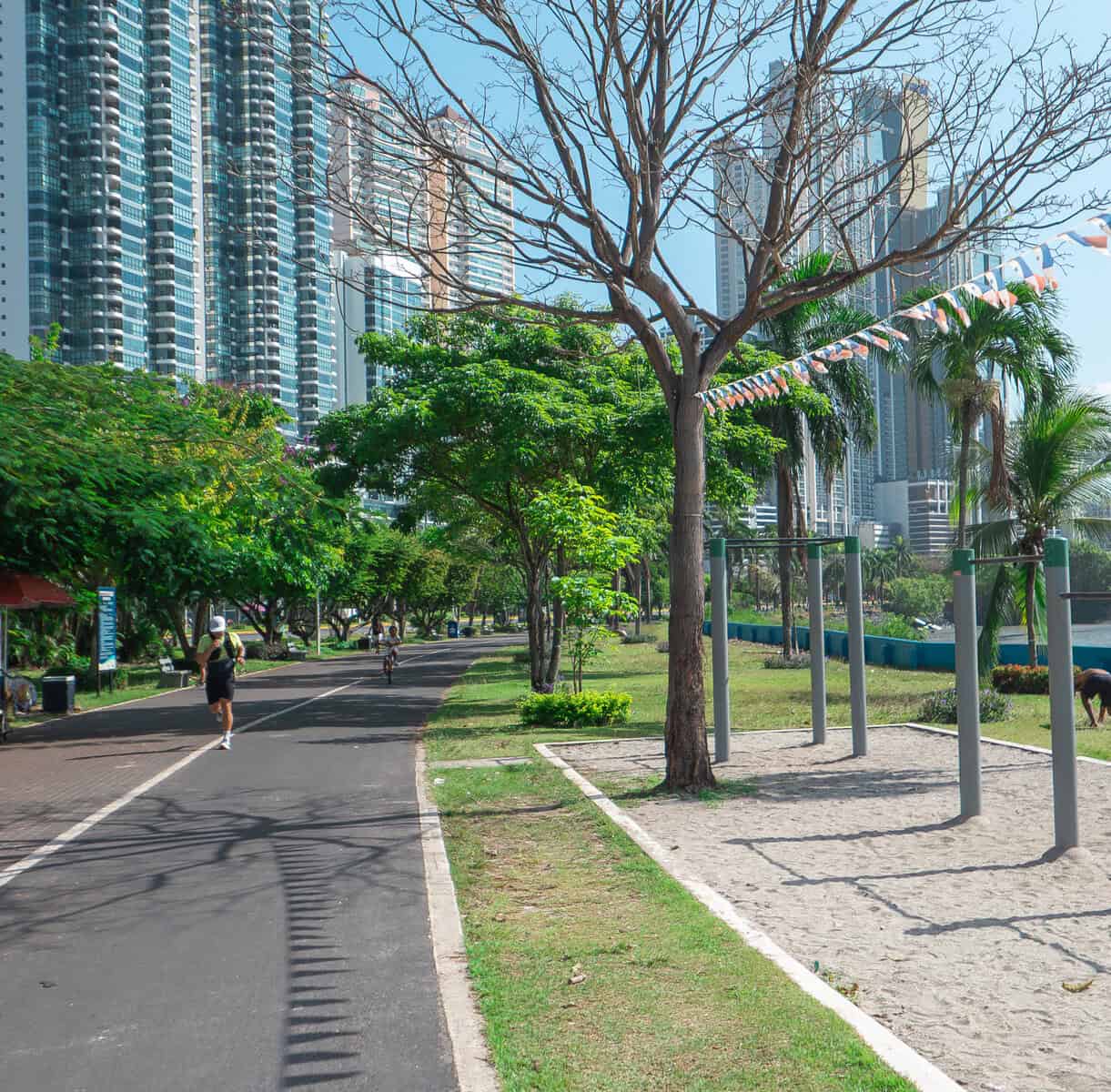 Shaded waterfront path with outdoor fitness equipment on Cinta Costera 2 in Panama City and high-rise skyline beyond.
