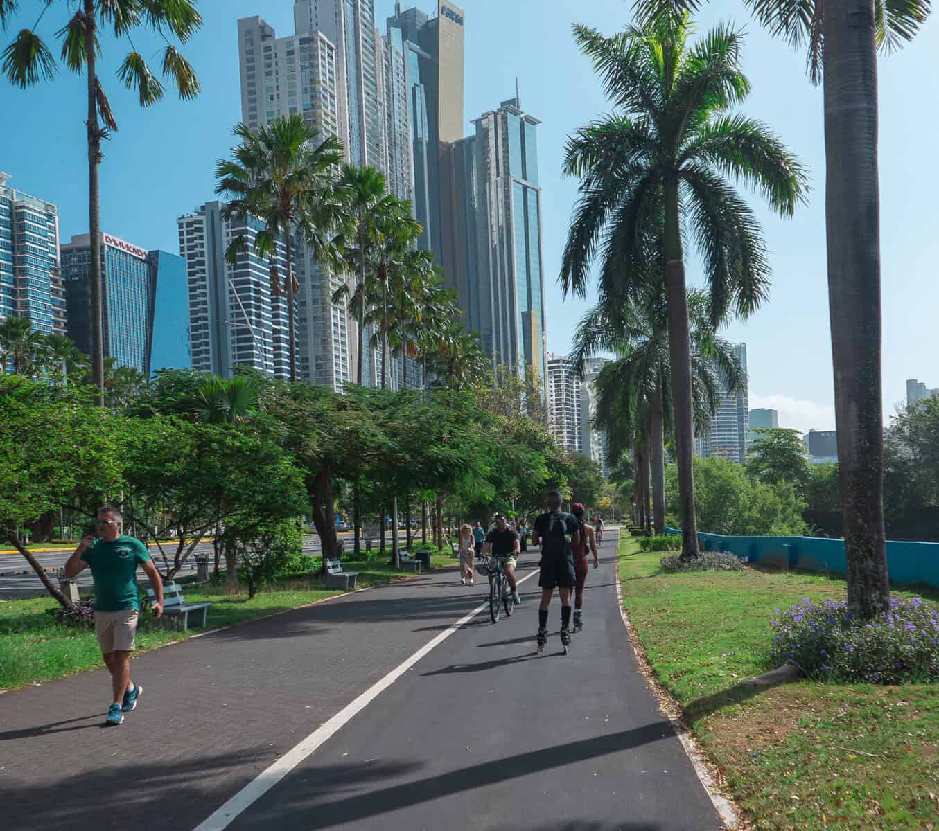 Joggers and cyclists on Cinta Costera 2 waterfront path in Panama City with palm trees and skyline rising behind.