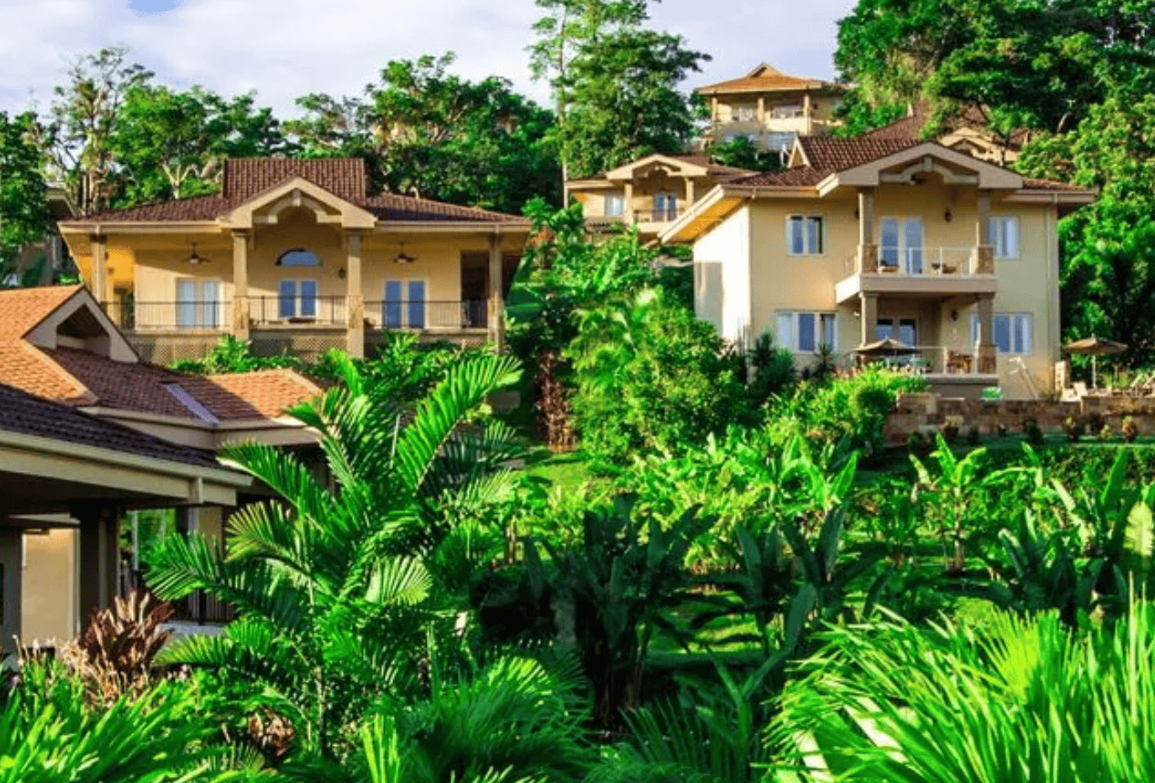 Red Frog Beach Island Resort villas Bastimentos Bocas del Toro Panama hillside accommodations tropical setting