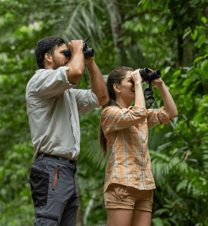 Two beginner birdwatchers using binoculars while searching the rainforest canopy in Gamboa, Panama