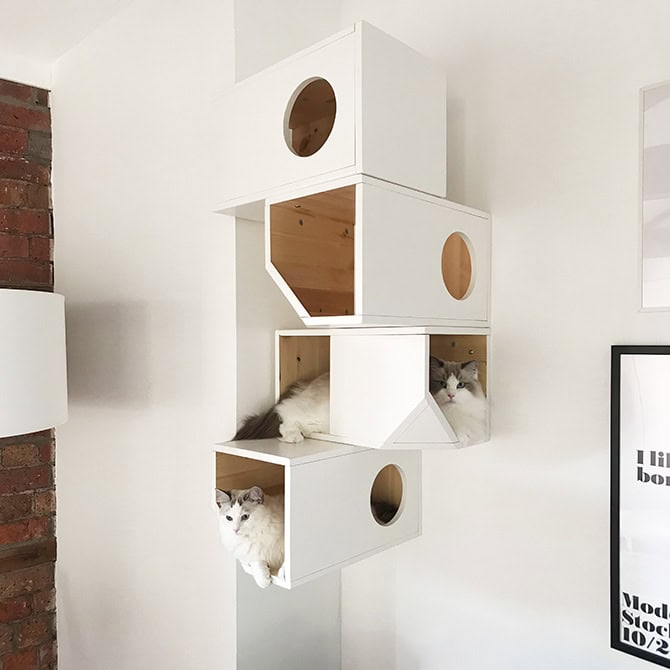 Wall cat house
