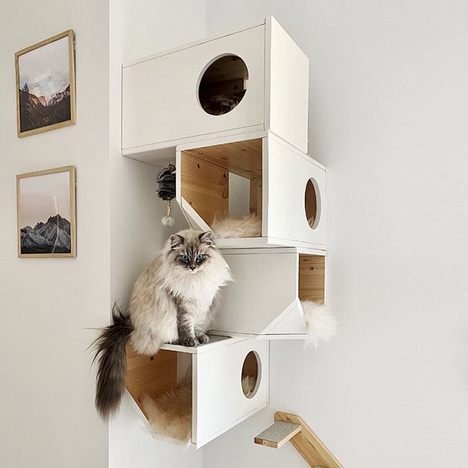 Wall cat house - Image 6