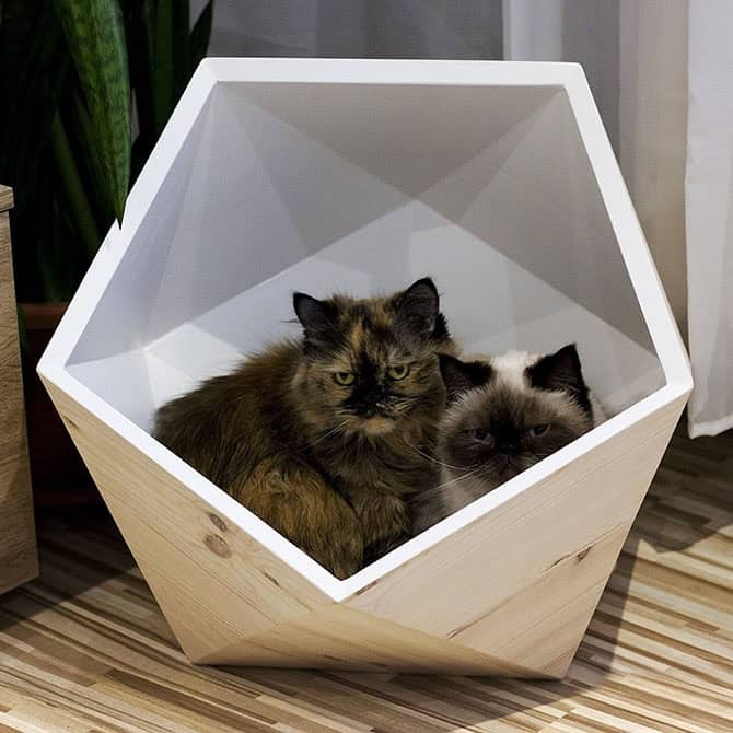 Catissa Geobed - Image 2
