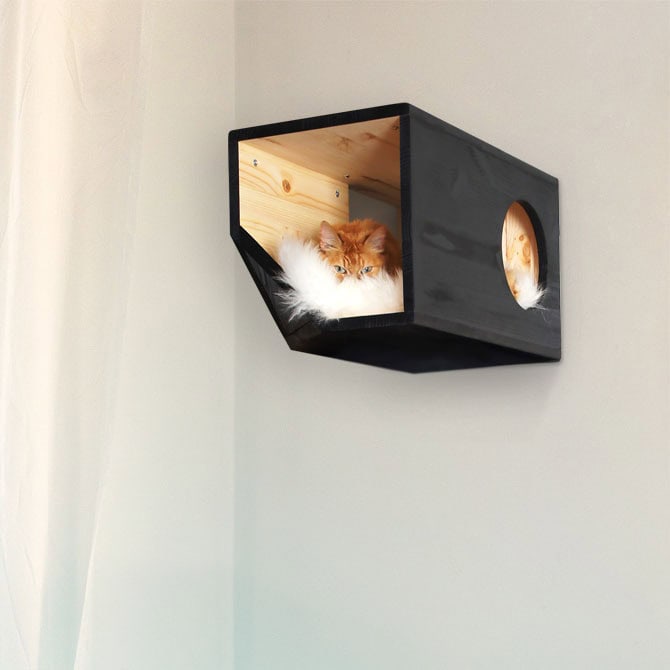 Catissa cat house module