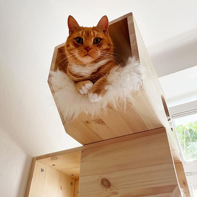 Wall cat house - Image 8