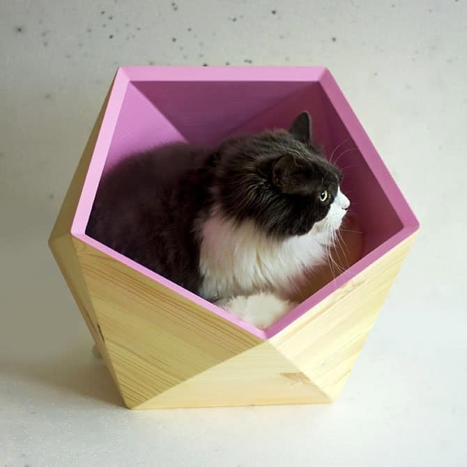 Catissa Geobed