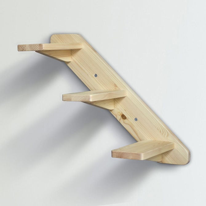 Ladder