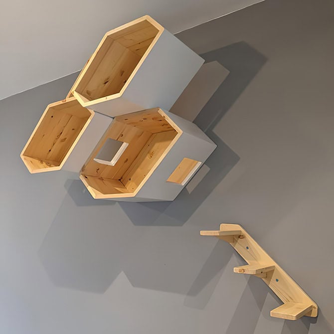 Catissa Hive - Image 3