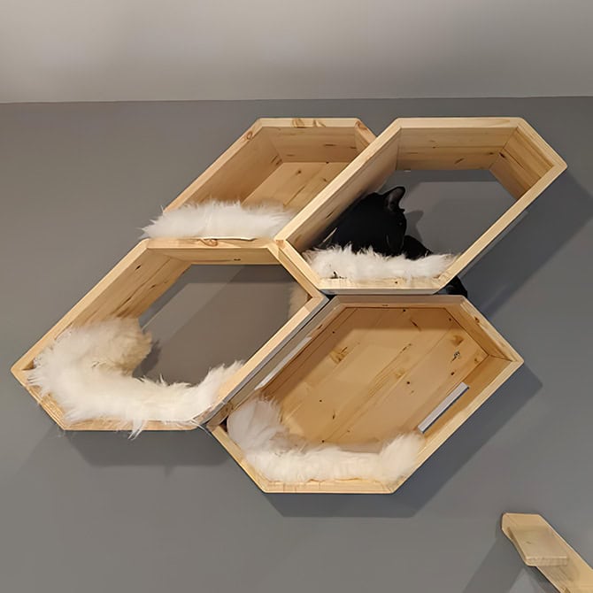 Catissa Hive - Image 4