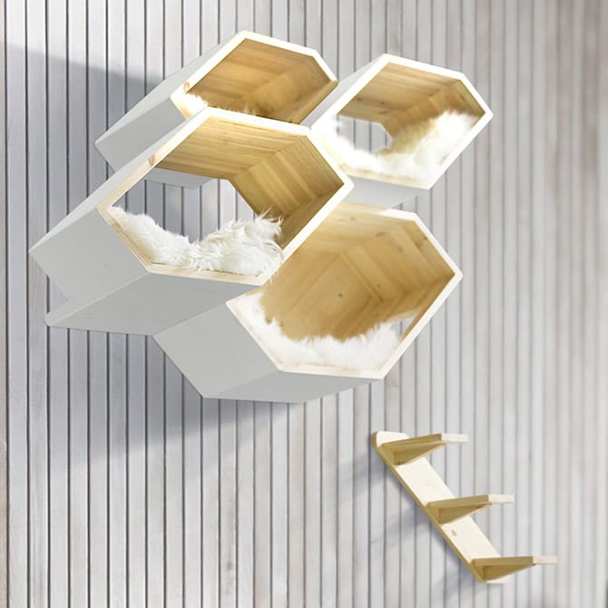 Catissa Hive - Image 2