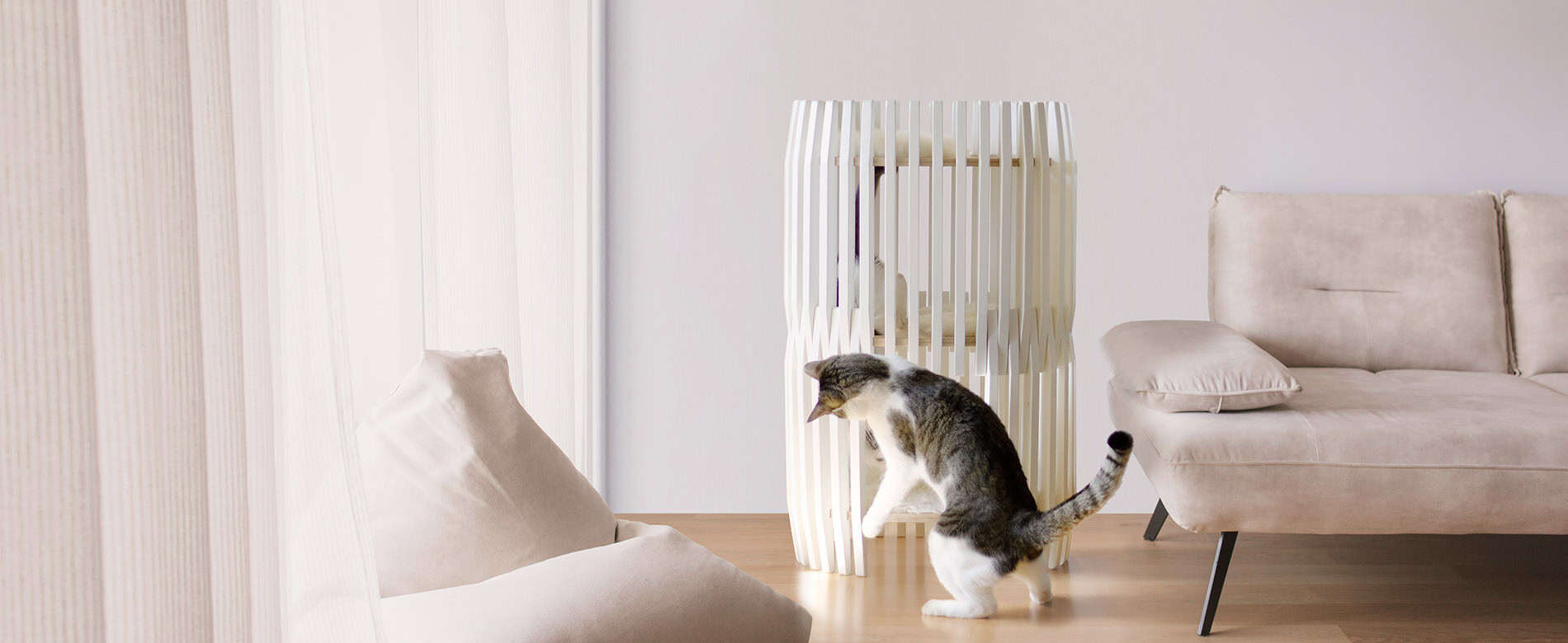 Catissa_Colosseum