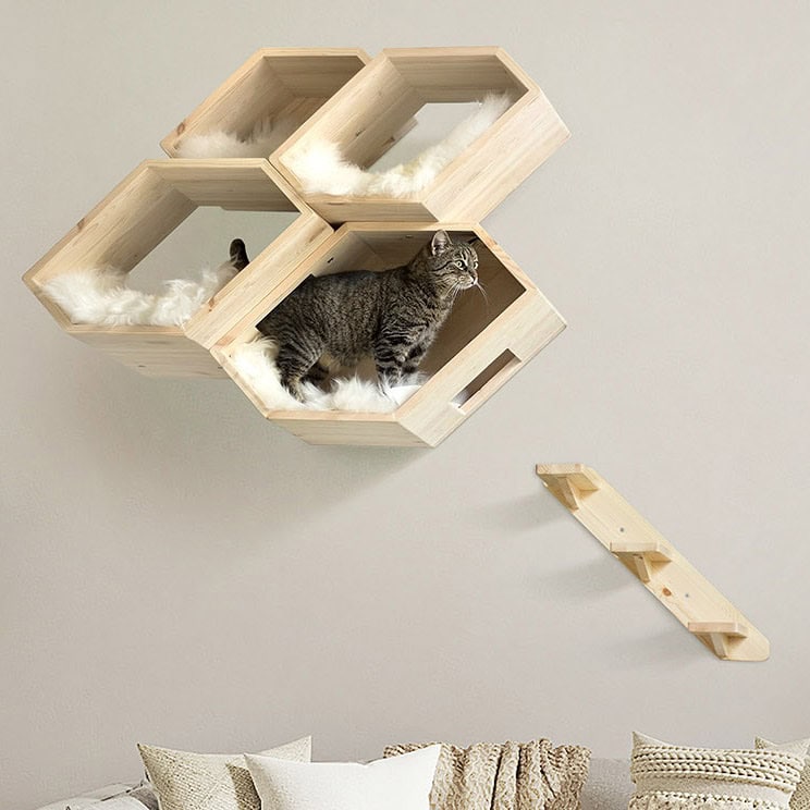Catissa_Hive_Cat_House_M