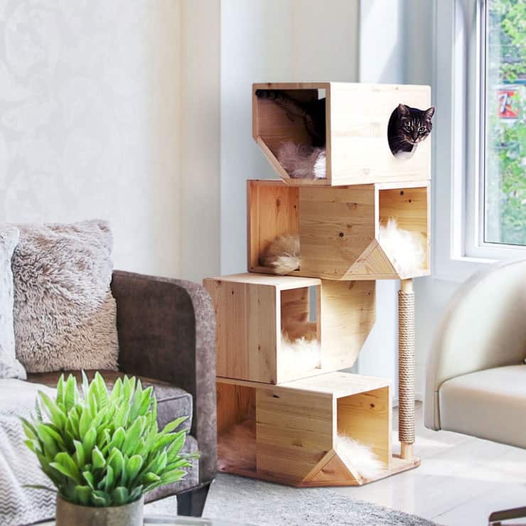Floor Cat House_M