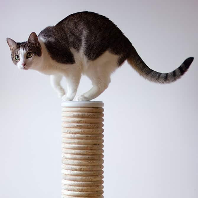 Apex Cat Scratching Post - Image 5