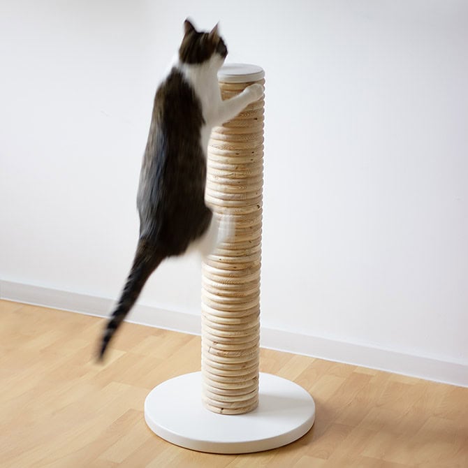 Apex Cat Scratching Post - Image 2