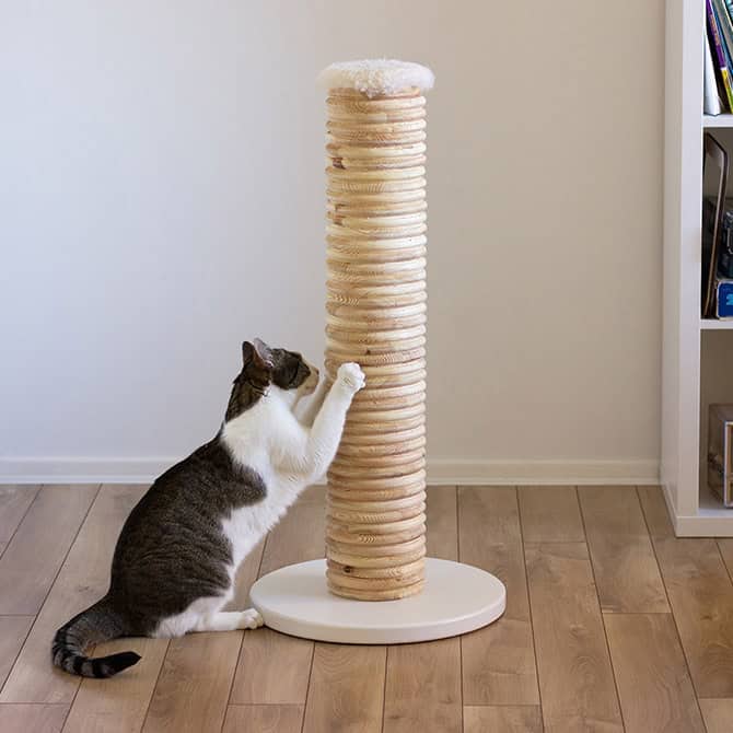 Apex Cat Scratching Post - Image 3