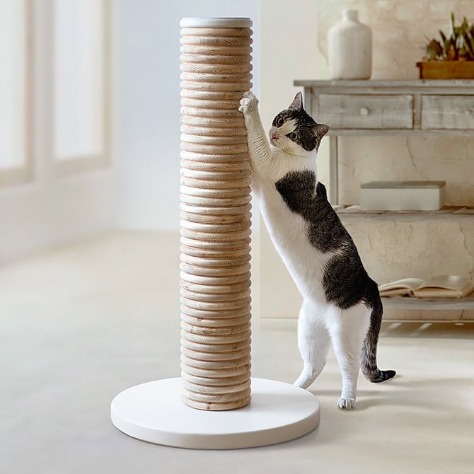 Catissa_Apex_Scratching_Post_Banner_1_M