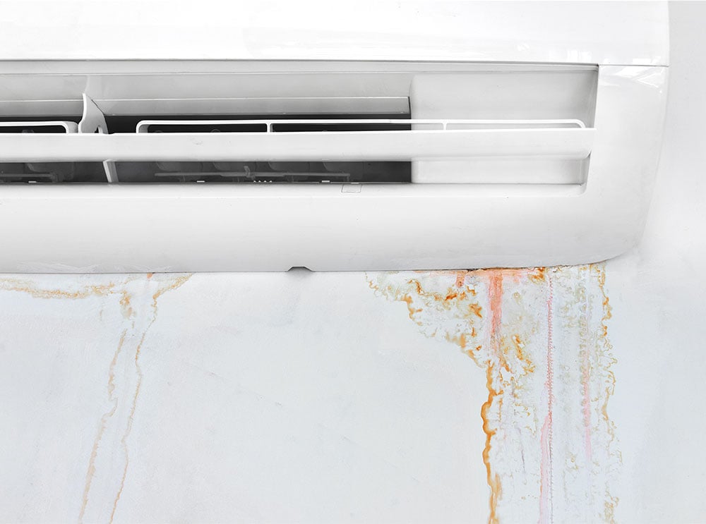 Regassing & Leak Detection