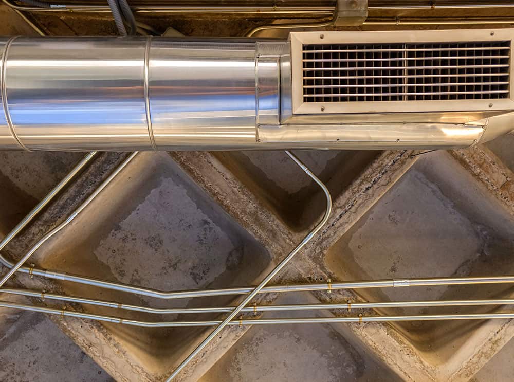 Professional Mould Removal