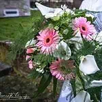 Hochzeitsshooting Aachen