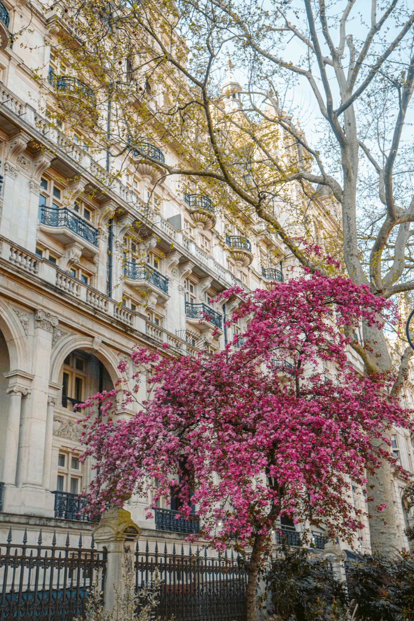 Where to See Gorgeous Spring Flowers in London 2026 - Candace Abroad