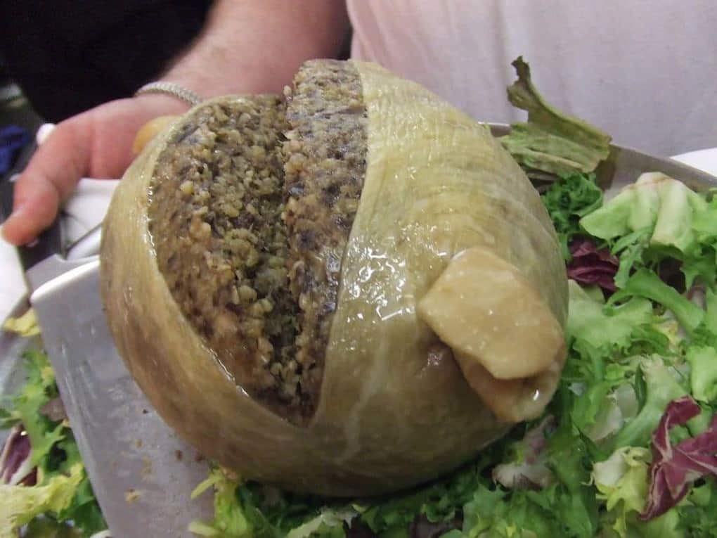 haggis of scotland