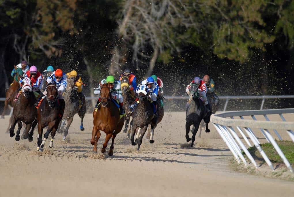 Horse Racing British Traditions
