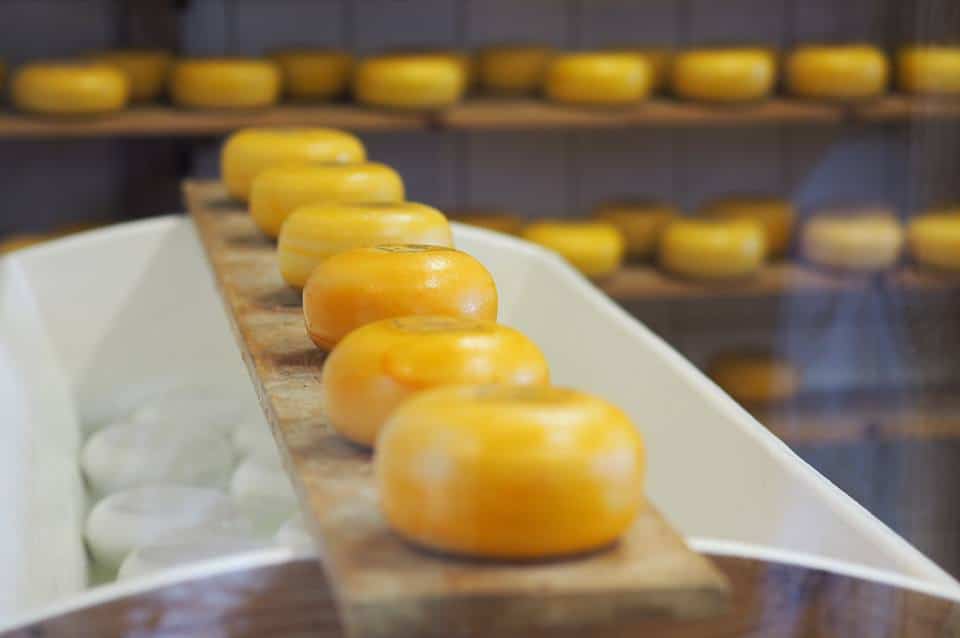 Zaanse Schanse Cheese - The List of the Best Cheese in the World