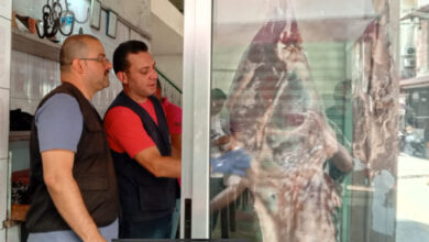 سلامة الغذاء في الجنوب: الاقتصاد تُطلق حملة رقابية صارمة تطال المؤسسات الغذائية
