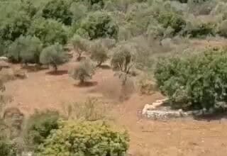 بالفيديو: طائرة أمريكية تهبط في قاعدة حامات الجوية