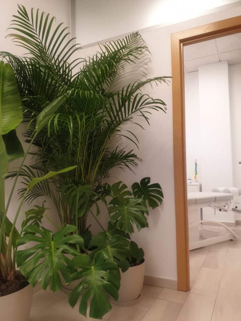room2