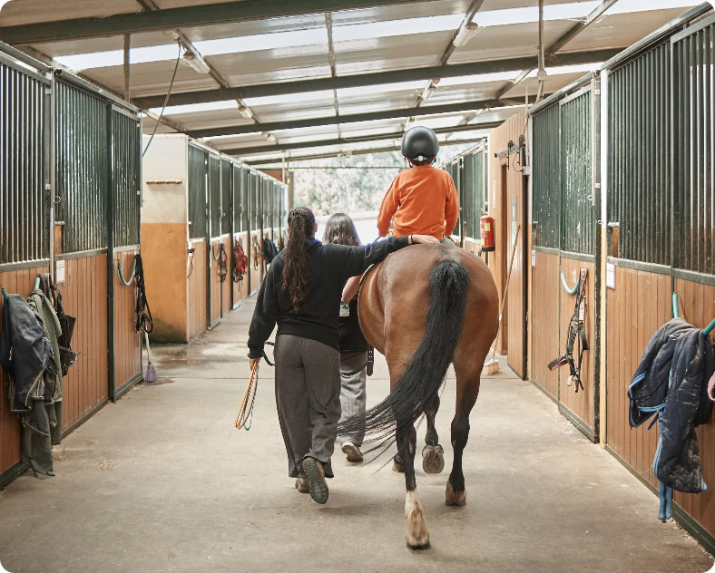 Terapia caballos Coru&ntilde;a