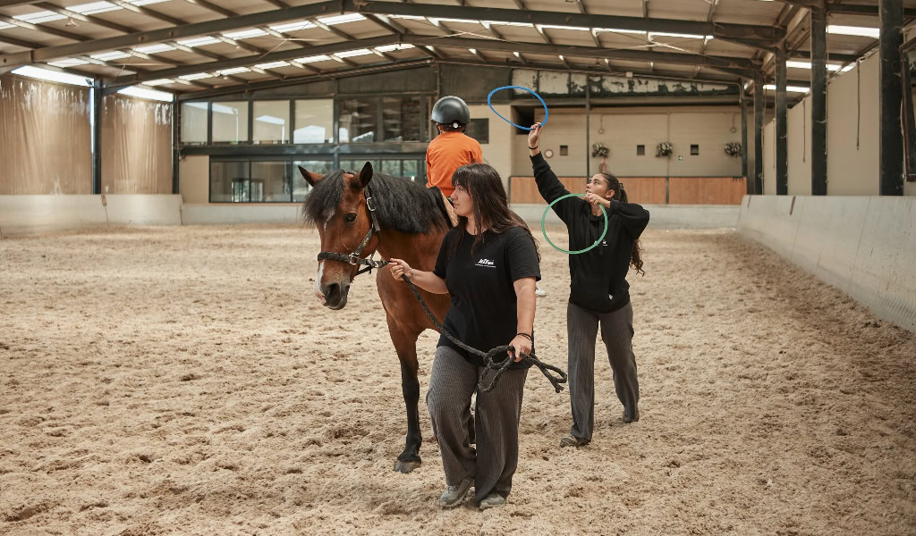 Centro de terapia con caballos A Coru&ntilde;a
