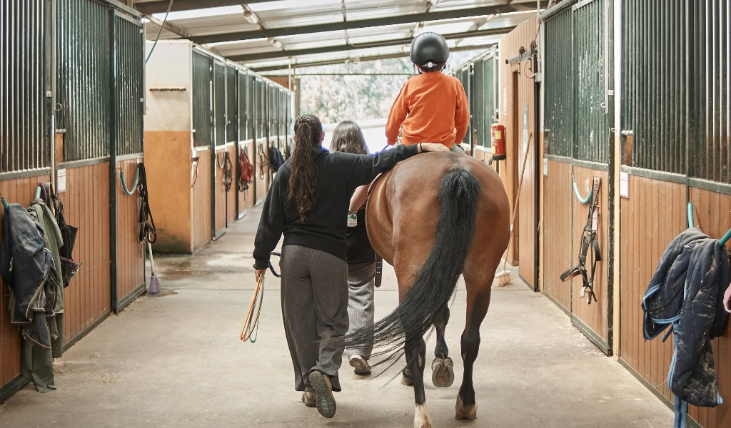 Terapia con caballos Coru&ntilde;a