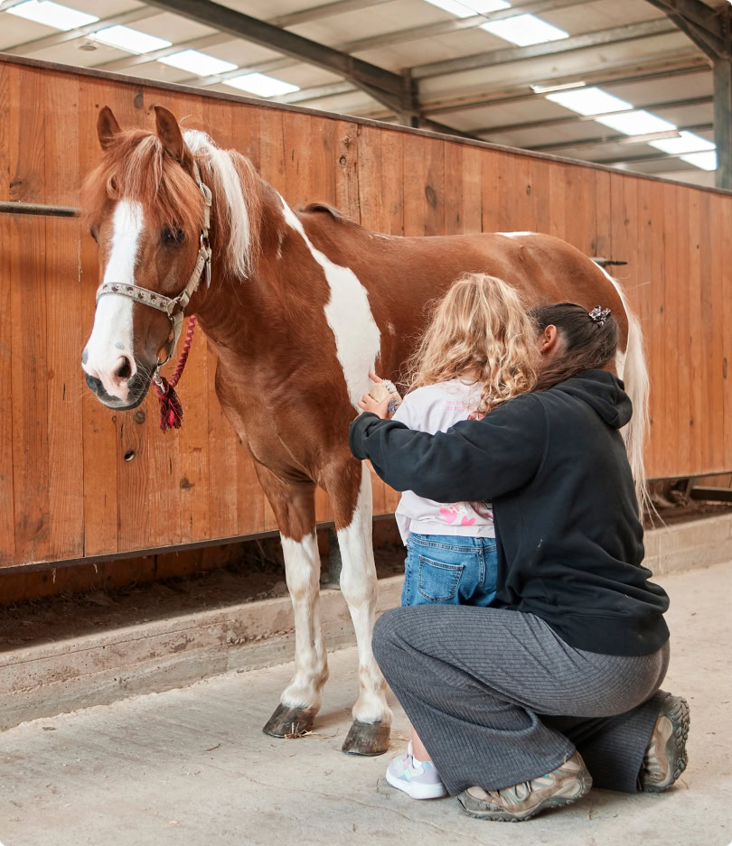 Terapia con caballos en A Coru&ntilde;a